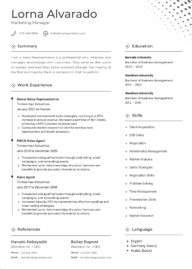Professional CV Sample 55